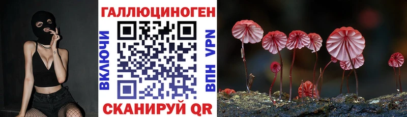 Галлюциногенные грибы GOLDEN TEACHER  купить наркоту  Таганрог 